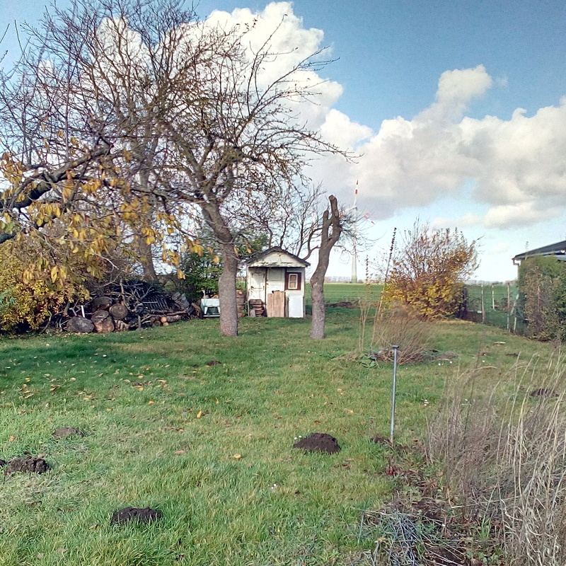 Garten H, keine Laube