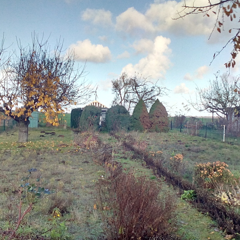 Garten E, Keine Laube