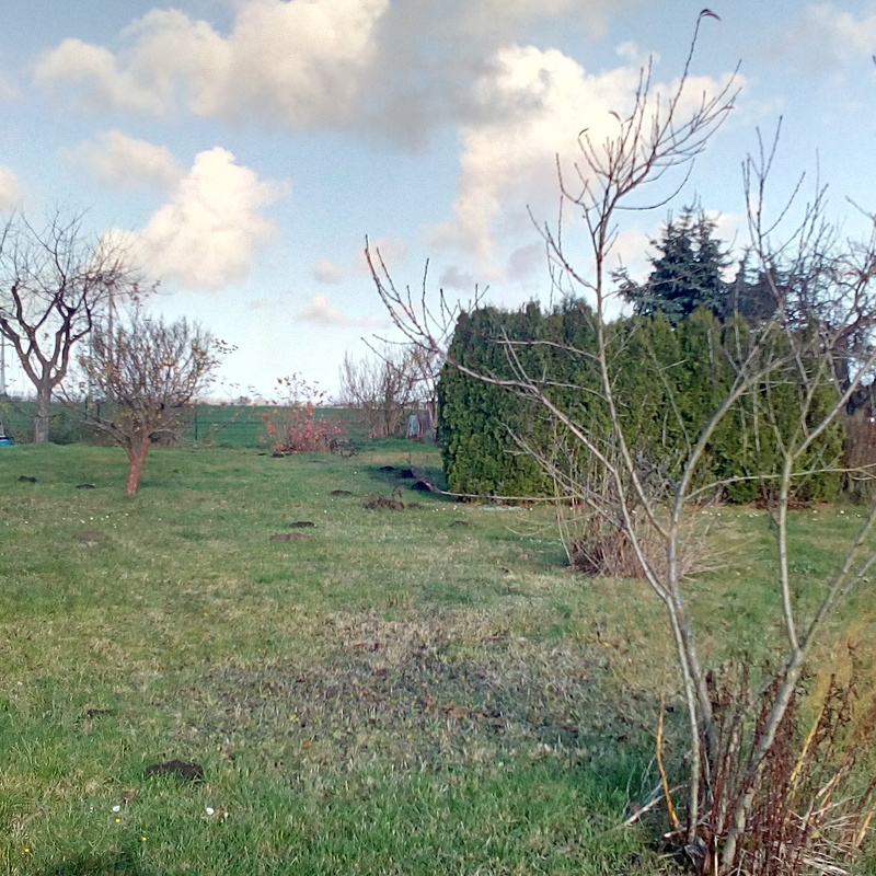 Garten C, Keine Laube