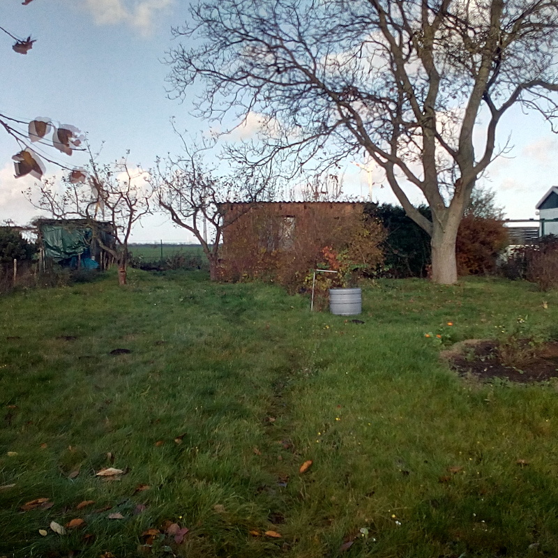 Garten B,Brunnen, Strom, Laube im schlechten Zustand
